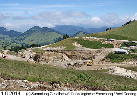 Sudelfeld, Walleralm, 1.8.2014